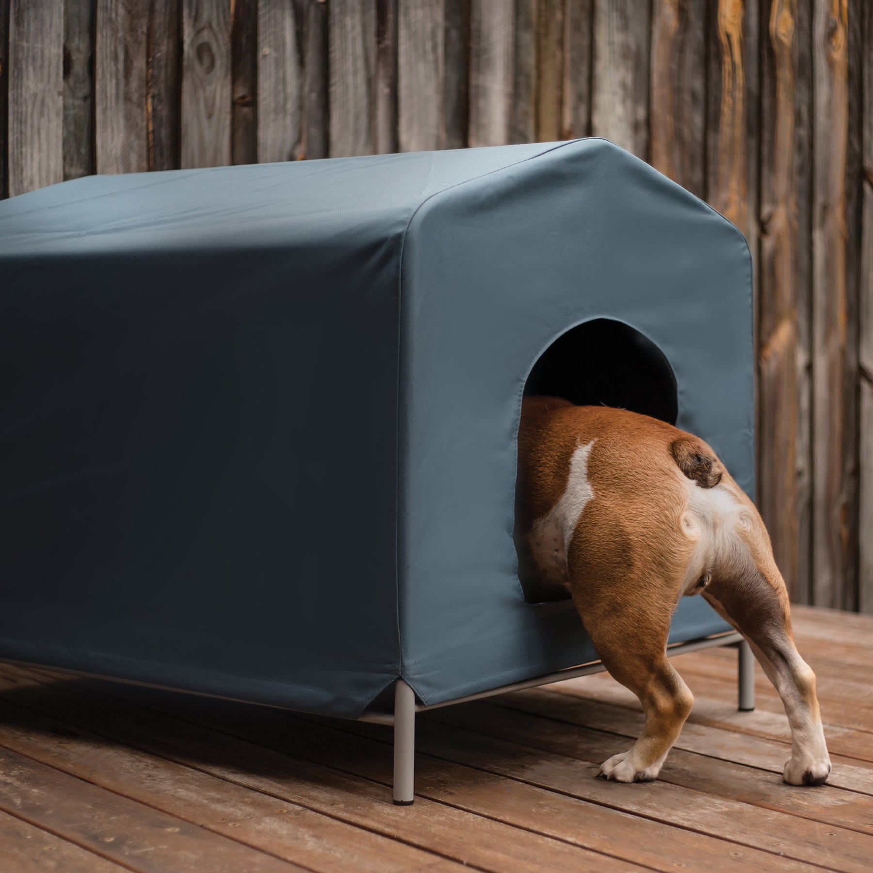 Canvas clearance dog house