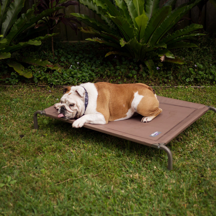 Premium Outdoor Bed - Kazoo Pet Co