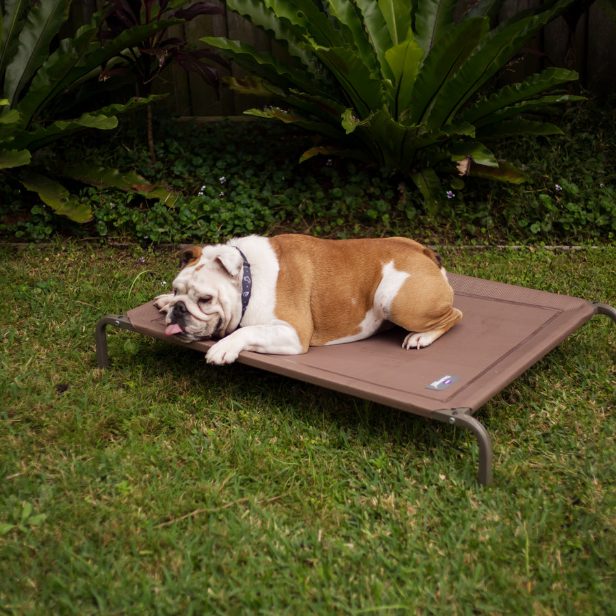 Premium Outdoor Dog Bed Kazoo Pet Co