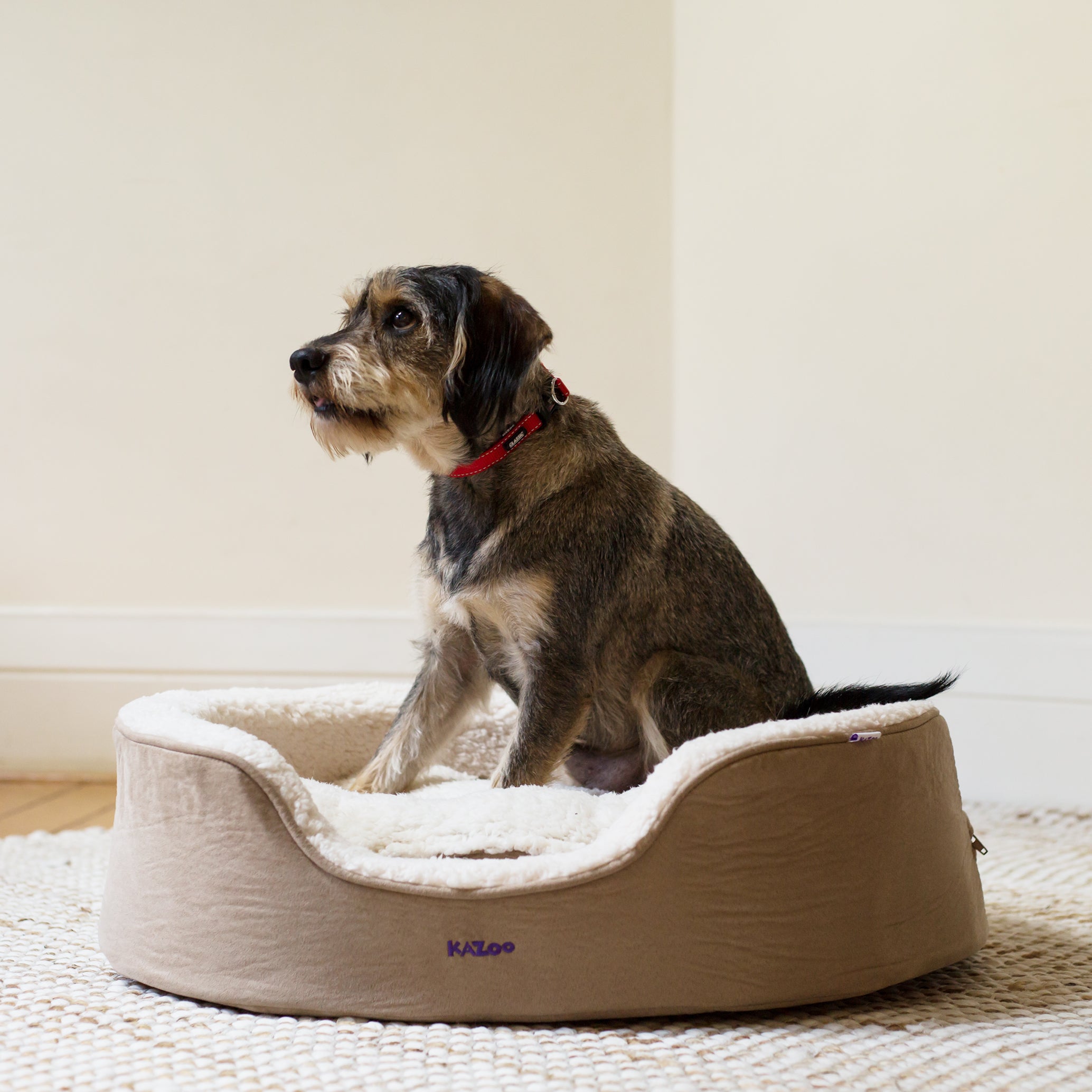 Pink dog bed sales pets at home