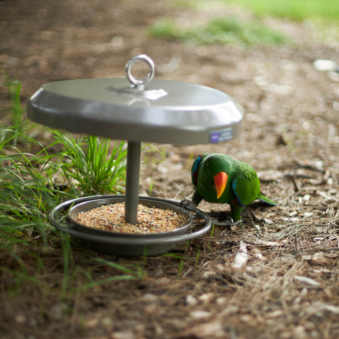Outdoor Bird Feeder