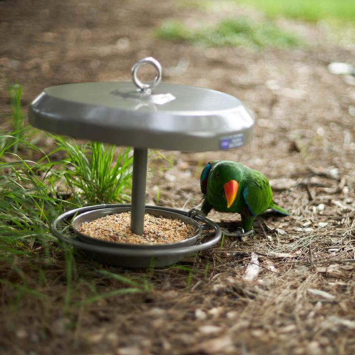 Outdoor Bird Feeder