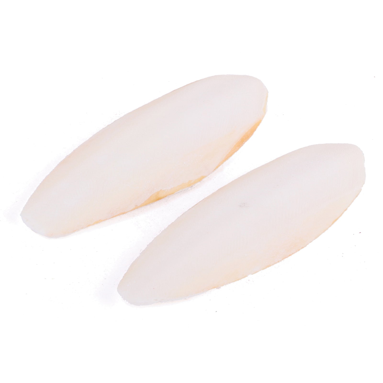 Natural Cuttlebone - 2 Pack - Kazoo Pet Co