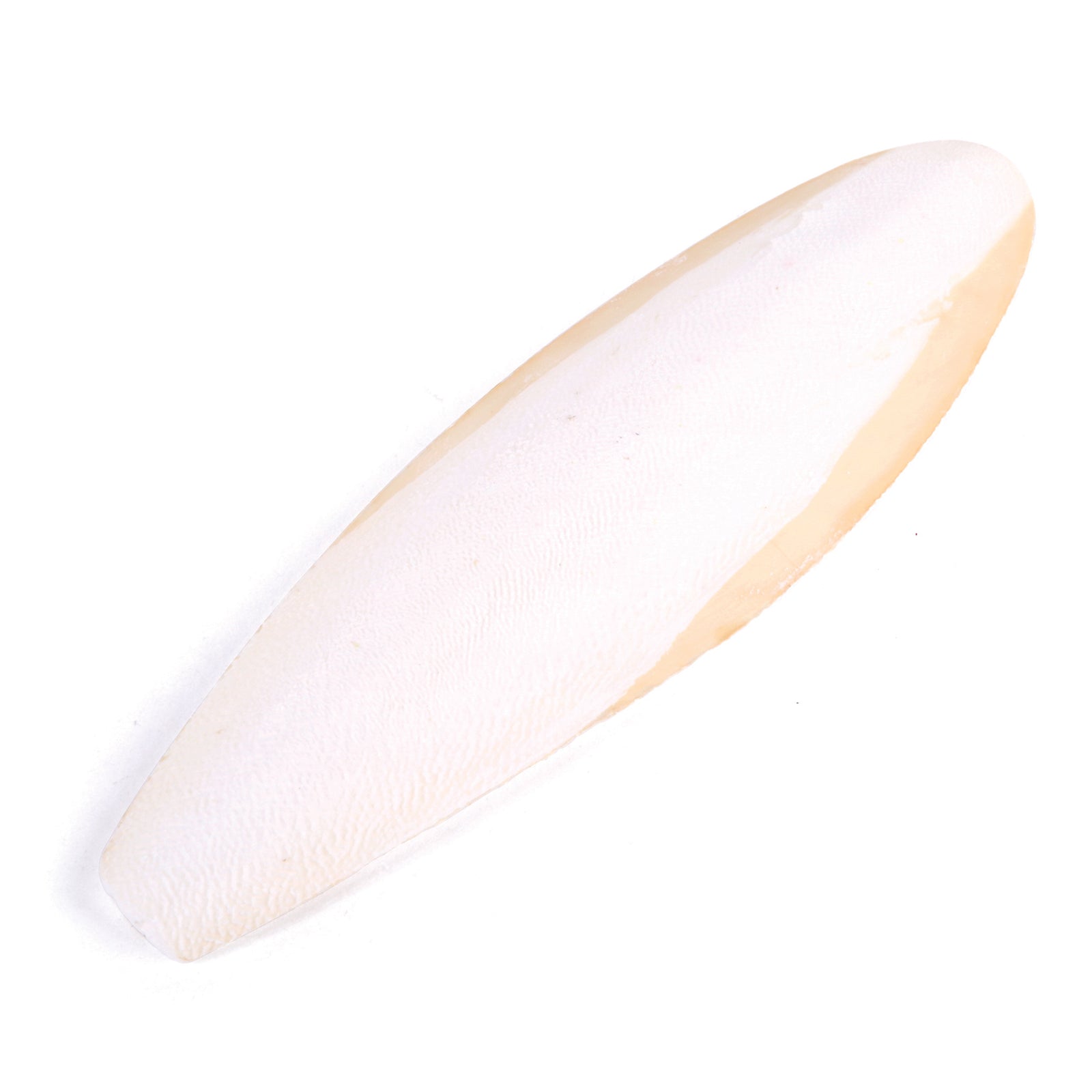Natural Cuttlebone - Kazoo Pet Co