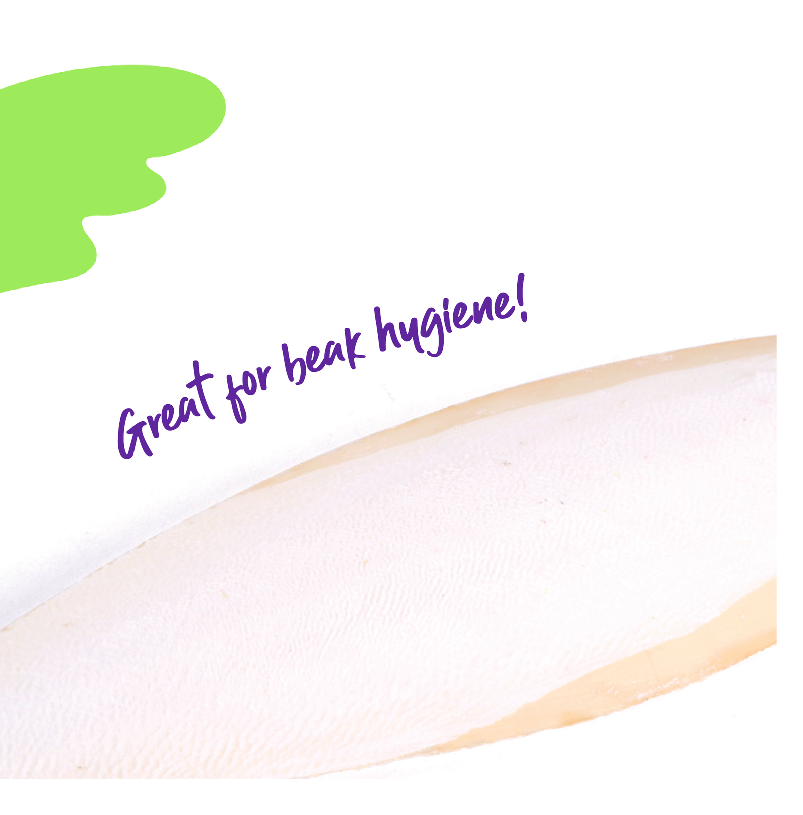 Natural Cuttlebone - Kazoo Pet Co