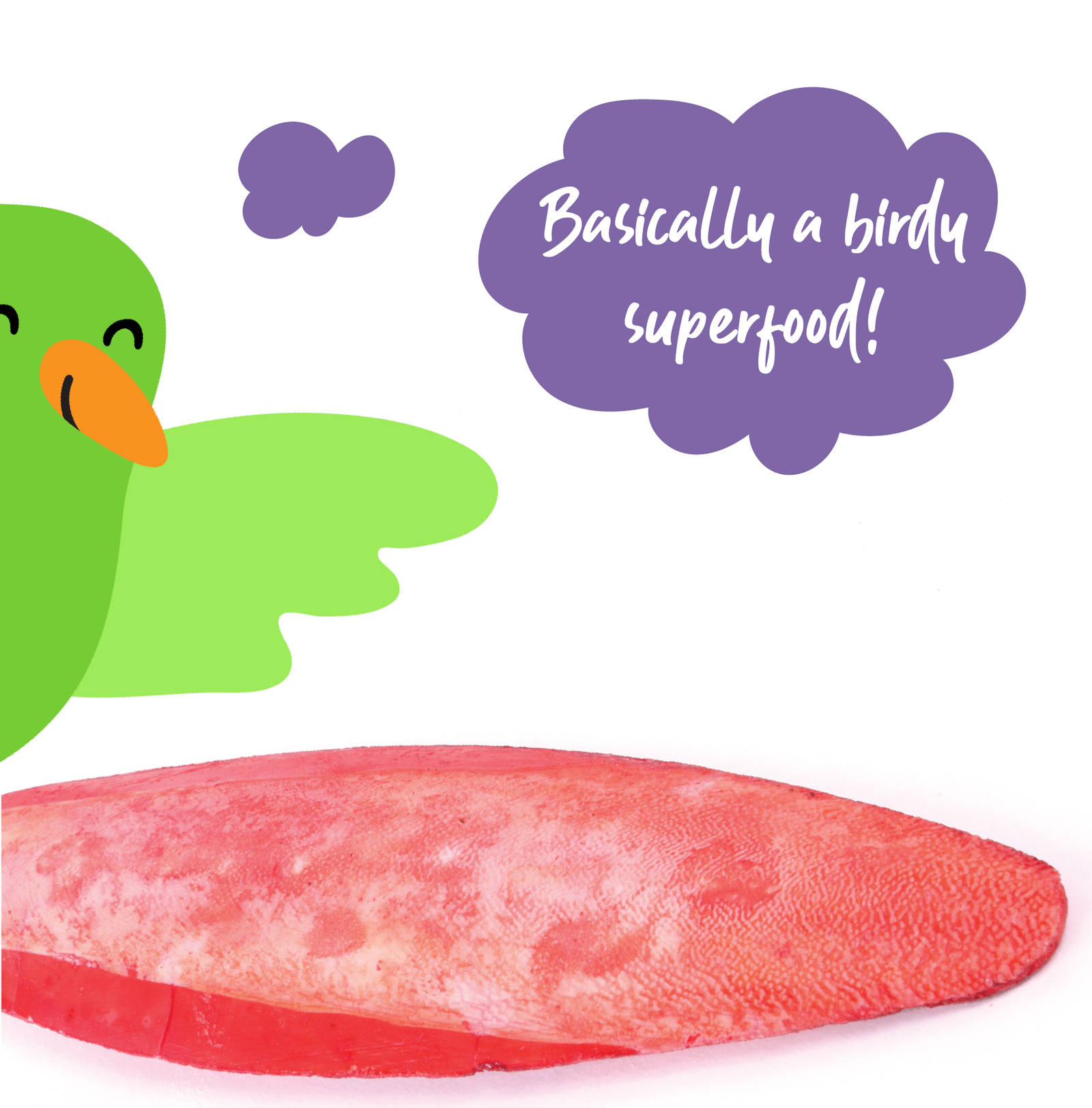 Lime & Chilli Cuttlebones - Kazoo Pet Co