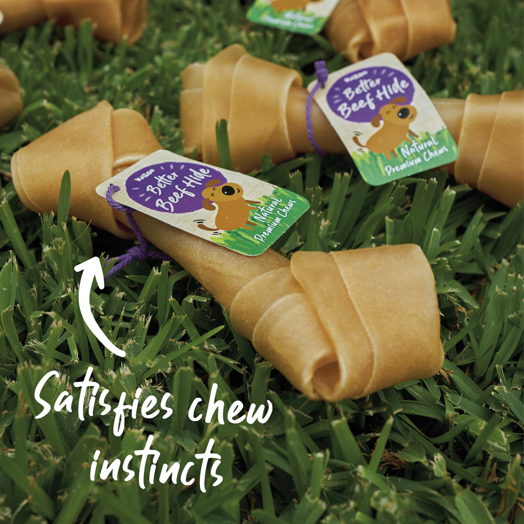 Natural Knot Bone - Bulk Value Pack