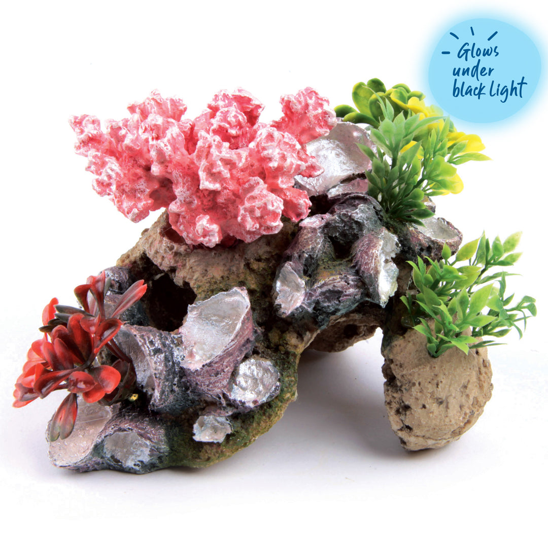 Coral With Rock & Plants - Small - Kazoo Pet Co