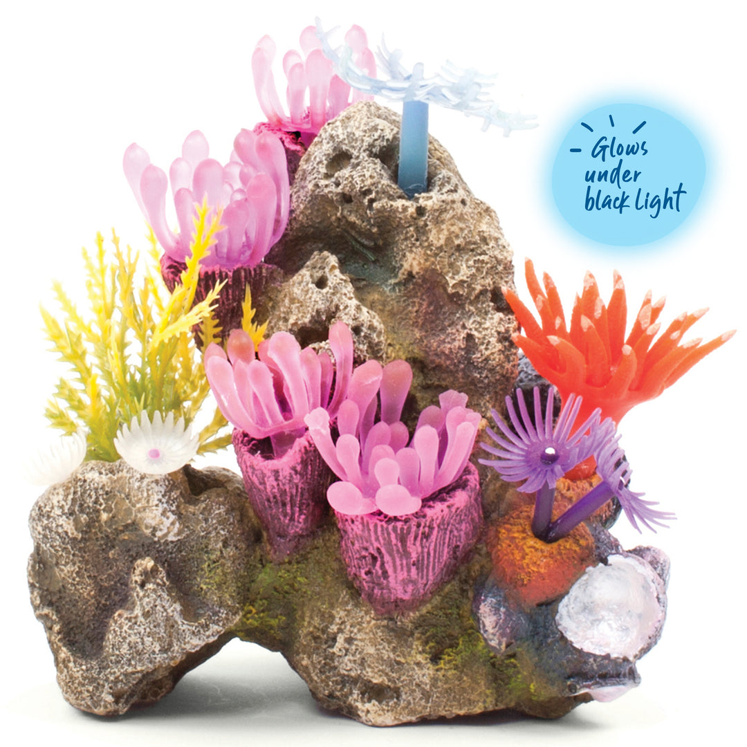 Soft Coral Garden With Rock - Small - Kazoo Pet Co