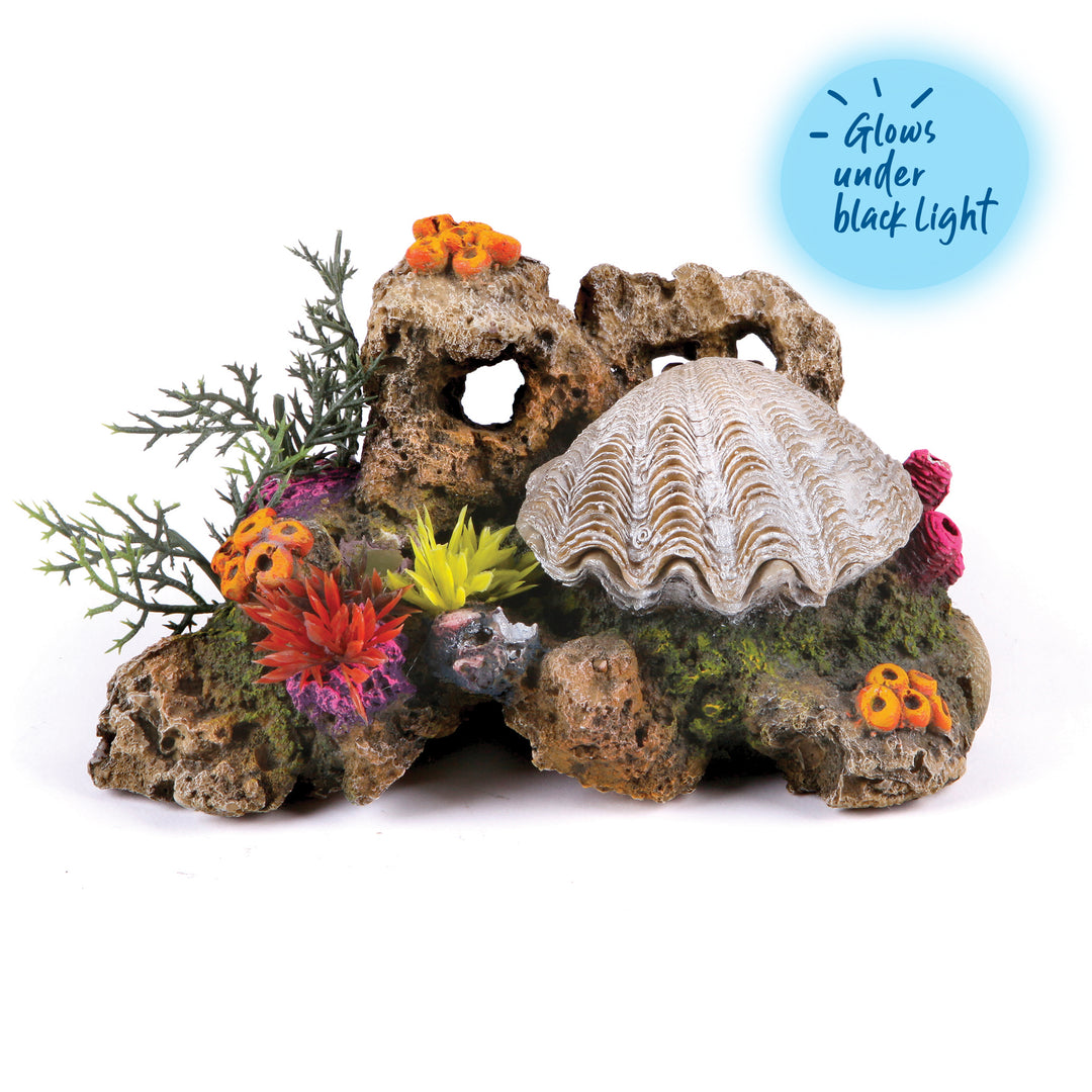 Action Clam With Coral & Plants - Medium - Kazoo Pet Co