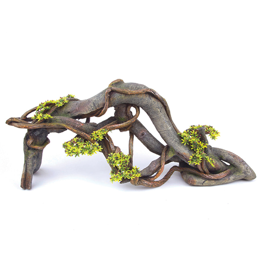 Driftwood With Vine & Plants - Centrepiece - Kazoo Pet Co