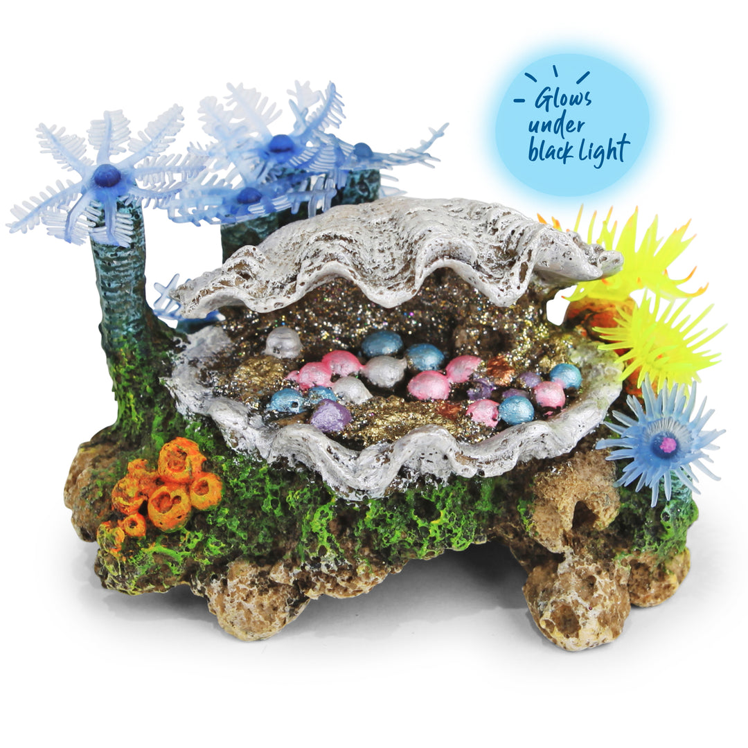White Clam With Soft Coral & Plants - Small - Kazoo Pet Co