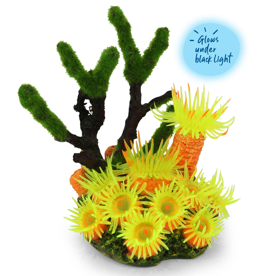 Soft Coral With Textured Moss - Mini - Kazoo Pet Co