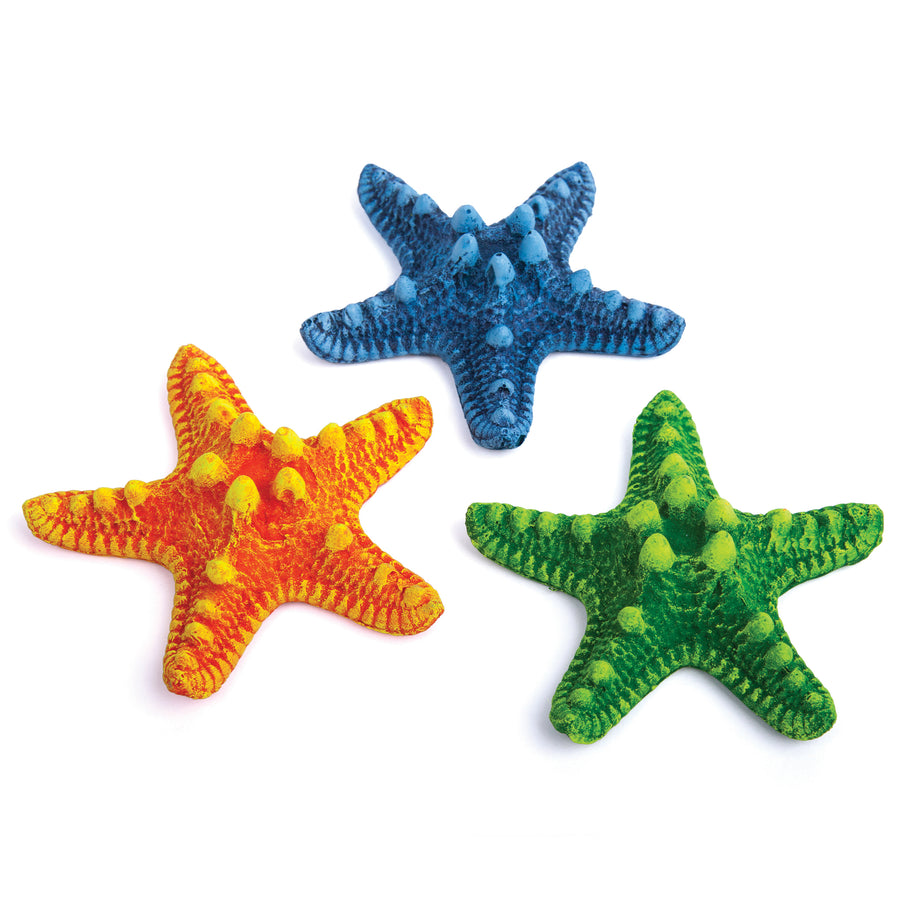Starfish - 3 Pack Small - Kazoo Pet Co
