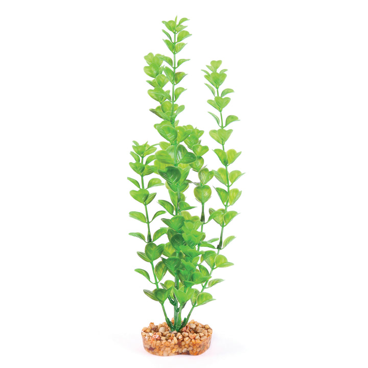 Decorative Plant - Medium Leaf Green - Kazoo Pet Co