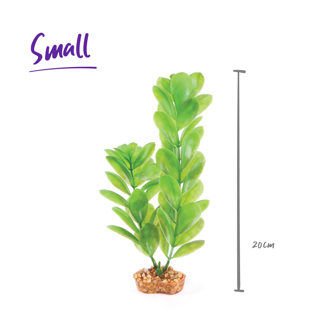 Decorative Plant - Large Leaf Green - Kazoo Pet Co