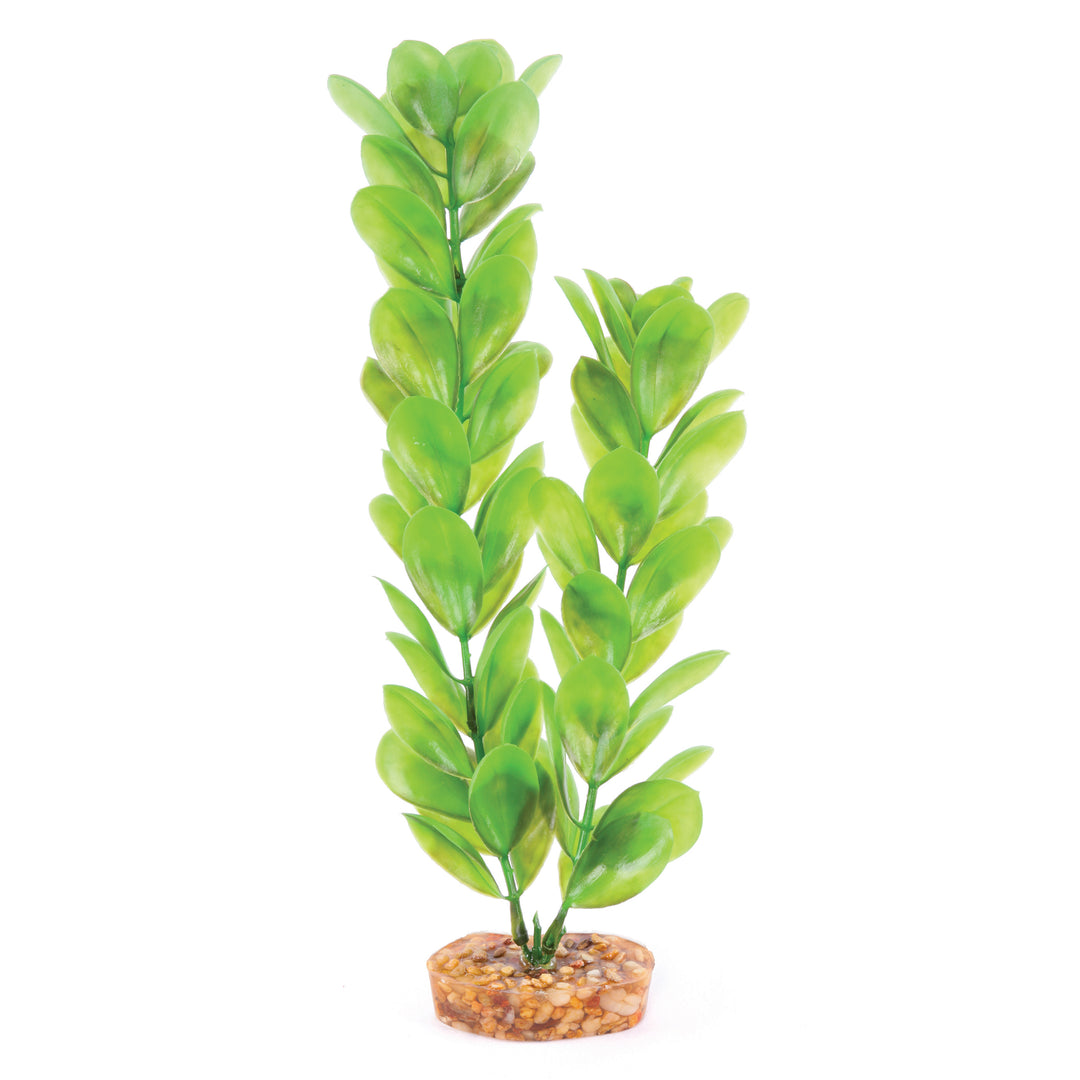 Decorative Plant - Large Leaf Green - Kazoo Pet Co