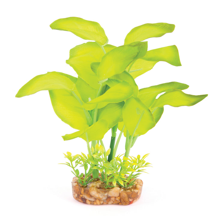 Silk Plant - Large Leaf Green - Kazoo Pet Co