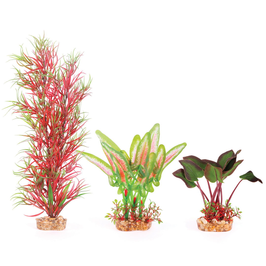 Silk Plant - Multipack #1 - Kazoo Pet Co