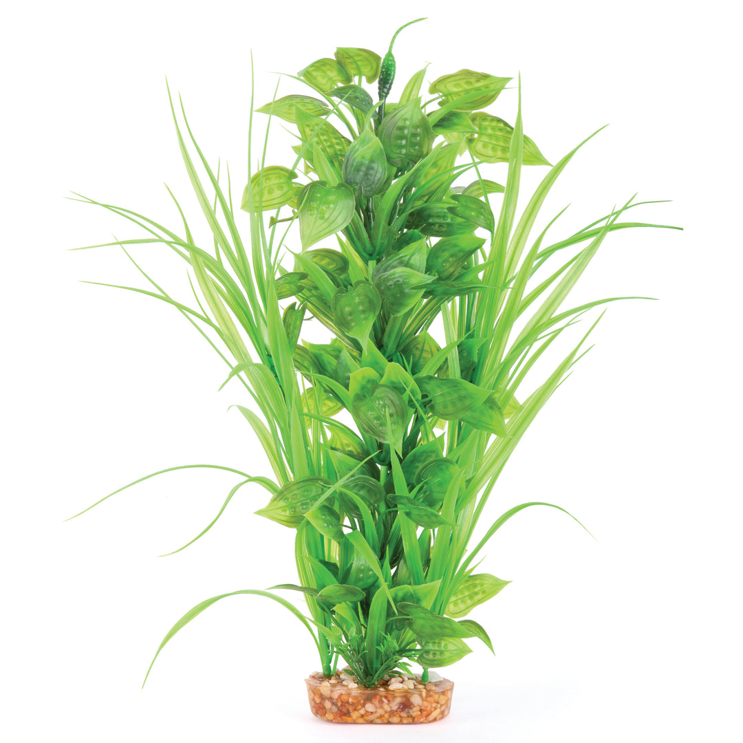 Plush Plant - Thin Leaf With Spot - Kazoo Pet Co