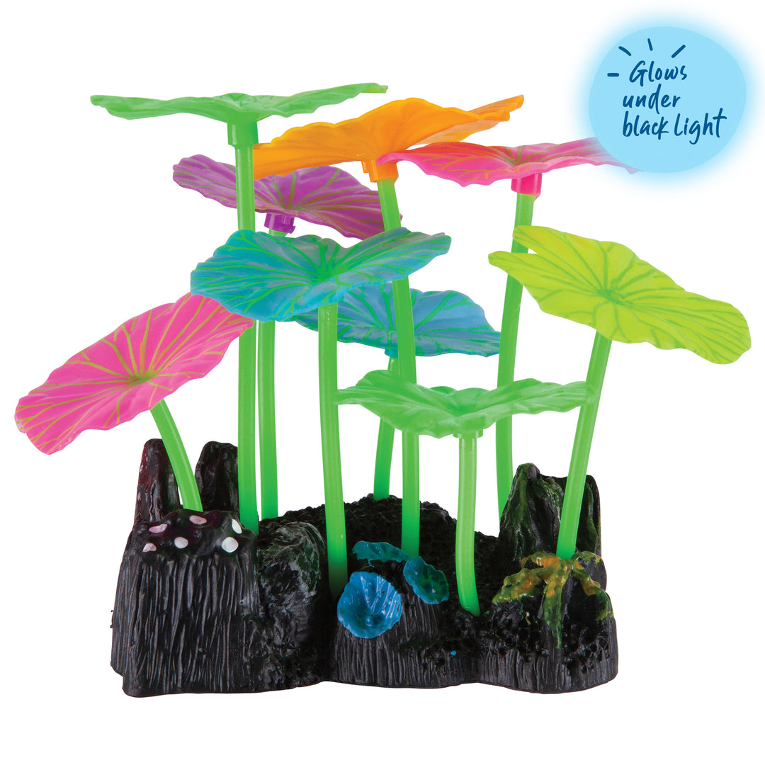 Silicone Long Stem Lily Pad Assorted - Small - Kazoo Pet Co