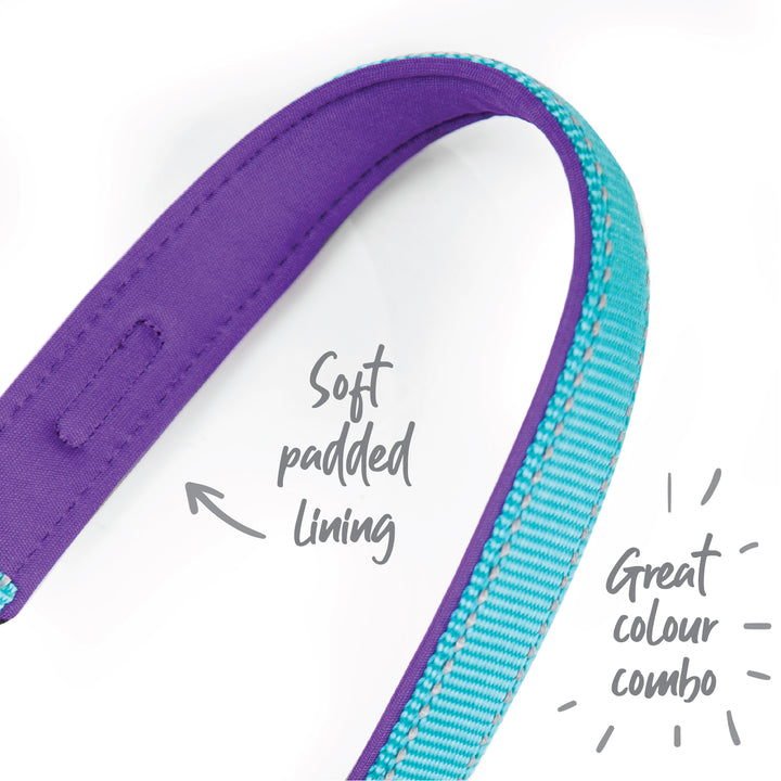 Active Adjustable Collar - Aqua & Purple - Kazoo Pet Co