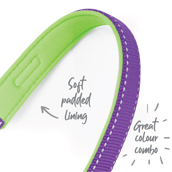 Active Collar - Purple & Lime - Kazoo Pet Co