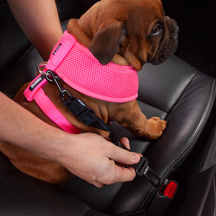 Hot pink dog harness 2025