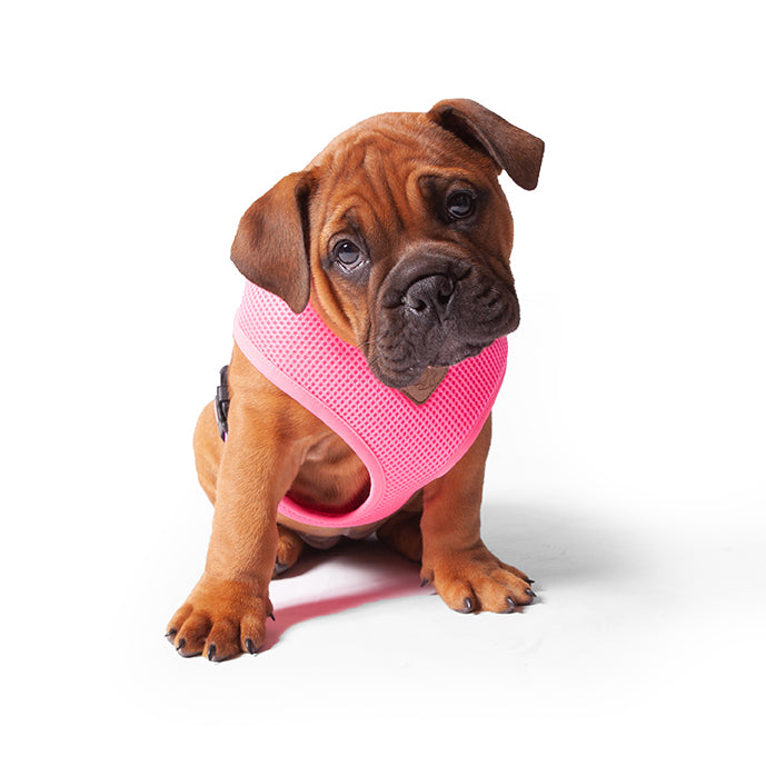 Classic Soft Walking Harness - Pink - Kazoo Pet Co