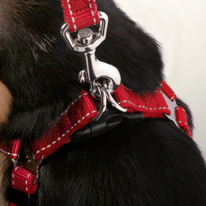 Classic Walking Harness - Red - Kazoo Pet Co