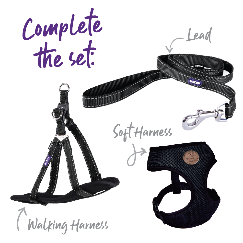 Classic Dog Collar - Black
