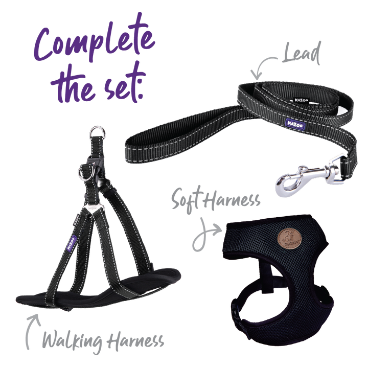 Classic Dog Collar - Black