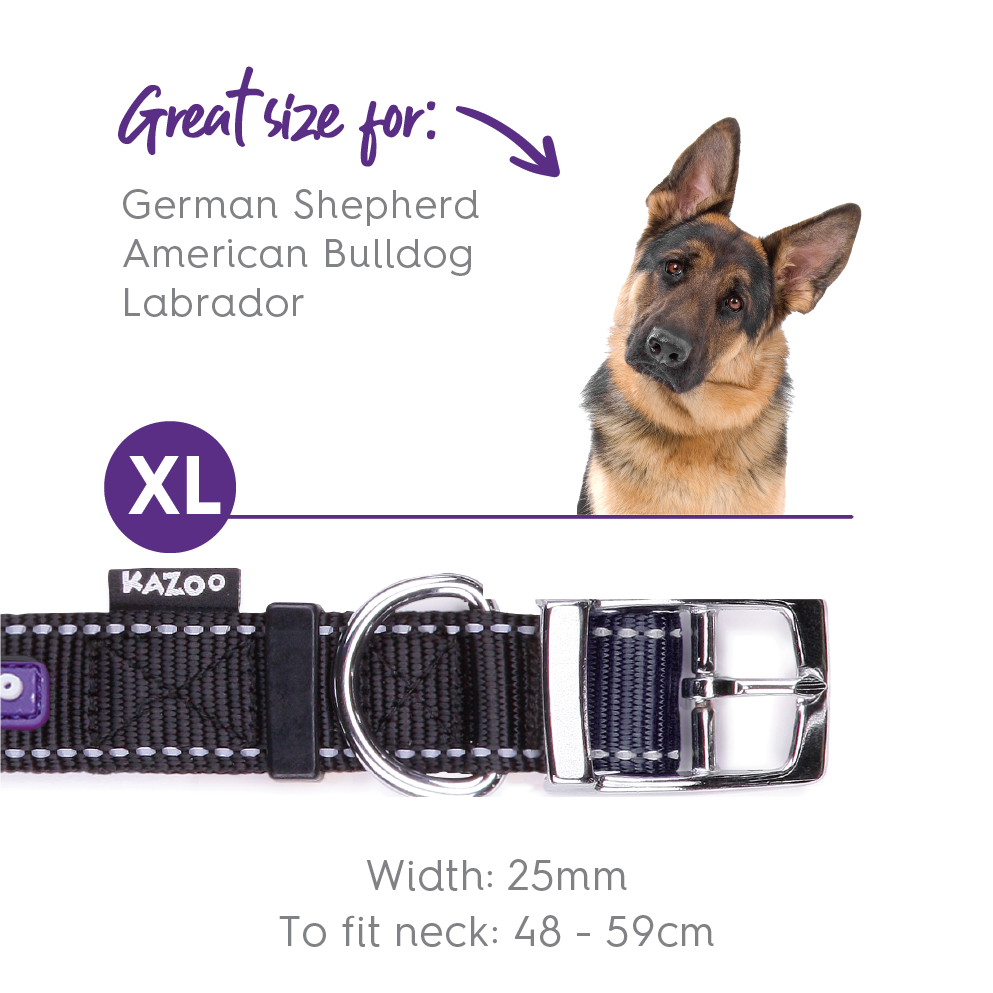Classic Dog Collar - Black