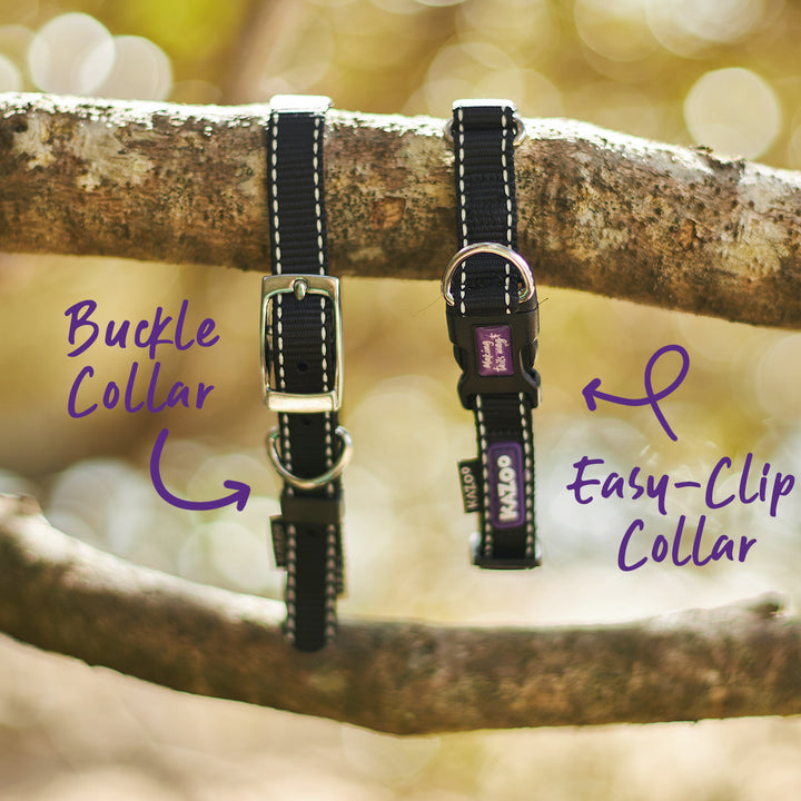 Classic Dog Collar - Black