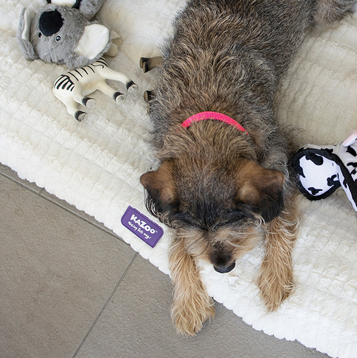 Classic Dog Collar - Pink