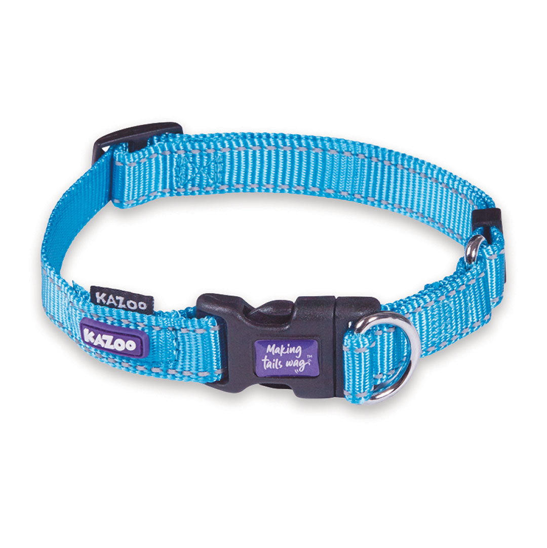 Classic Easy-Clip Dog Collar - Aqua