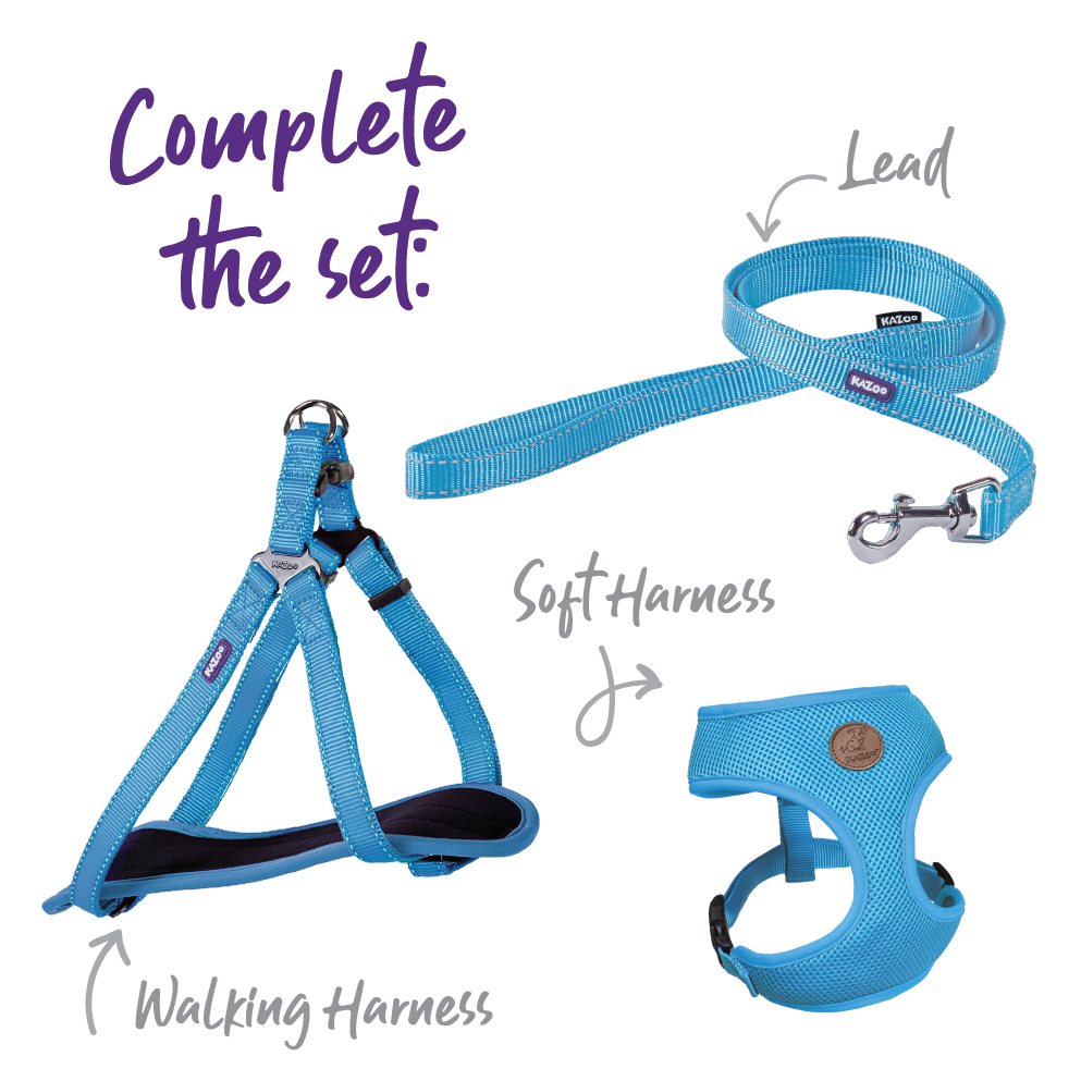 Classic Walking Dog Harness - Aqua