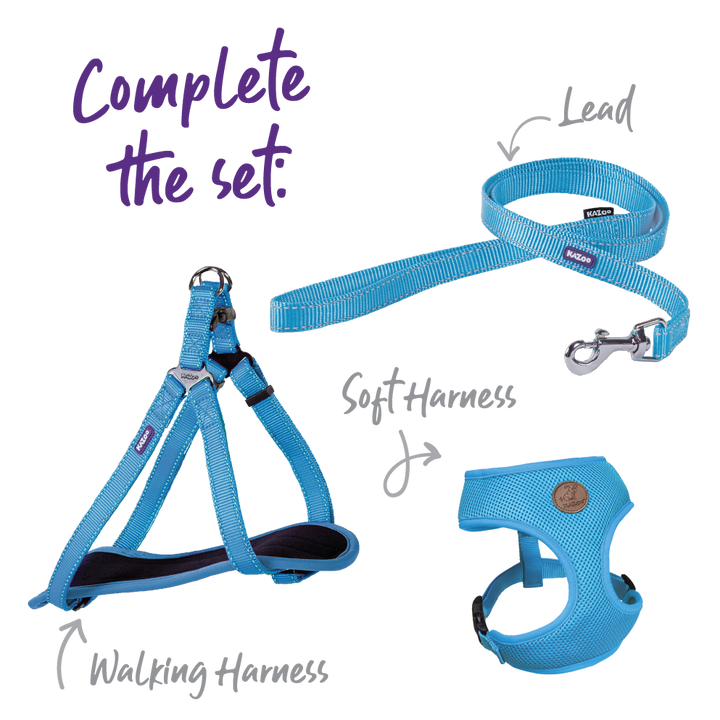 Classic Walking Dog Harness - Aqua