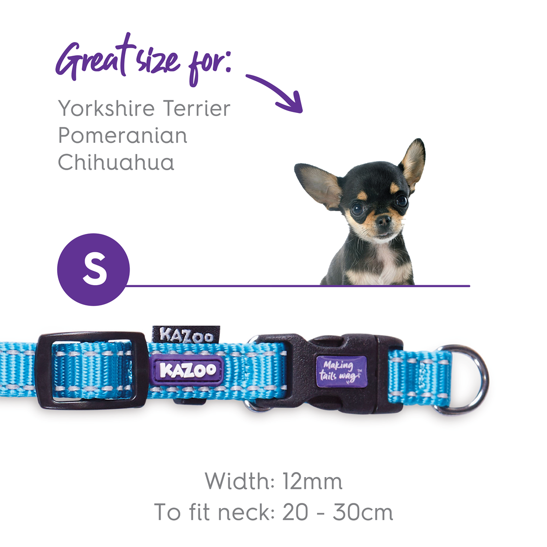 Classic Easy-Clip Dog Collar - Aqua