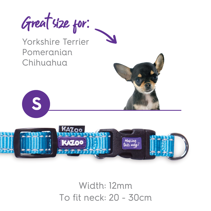Classic Easy-Clip Dog Collar - Aqua
