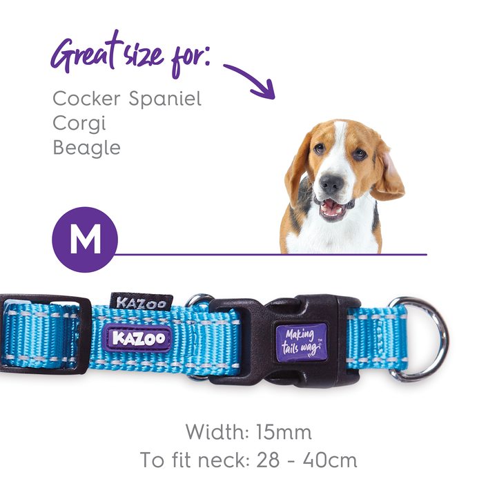 Classic Easy-Clip Dog Collar - Aqua