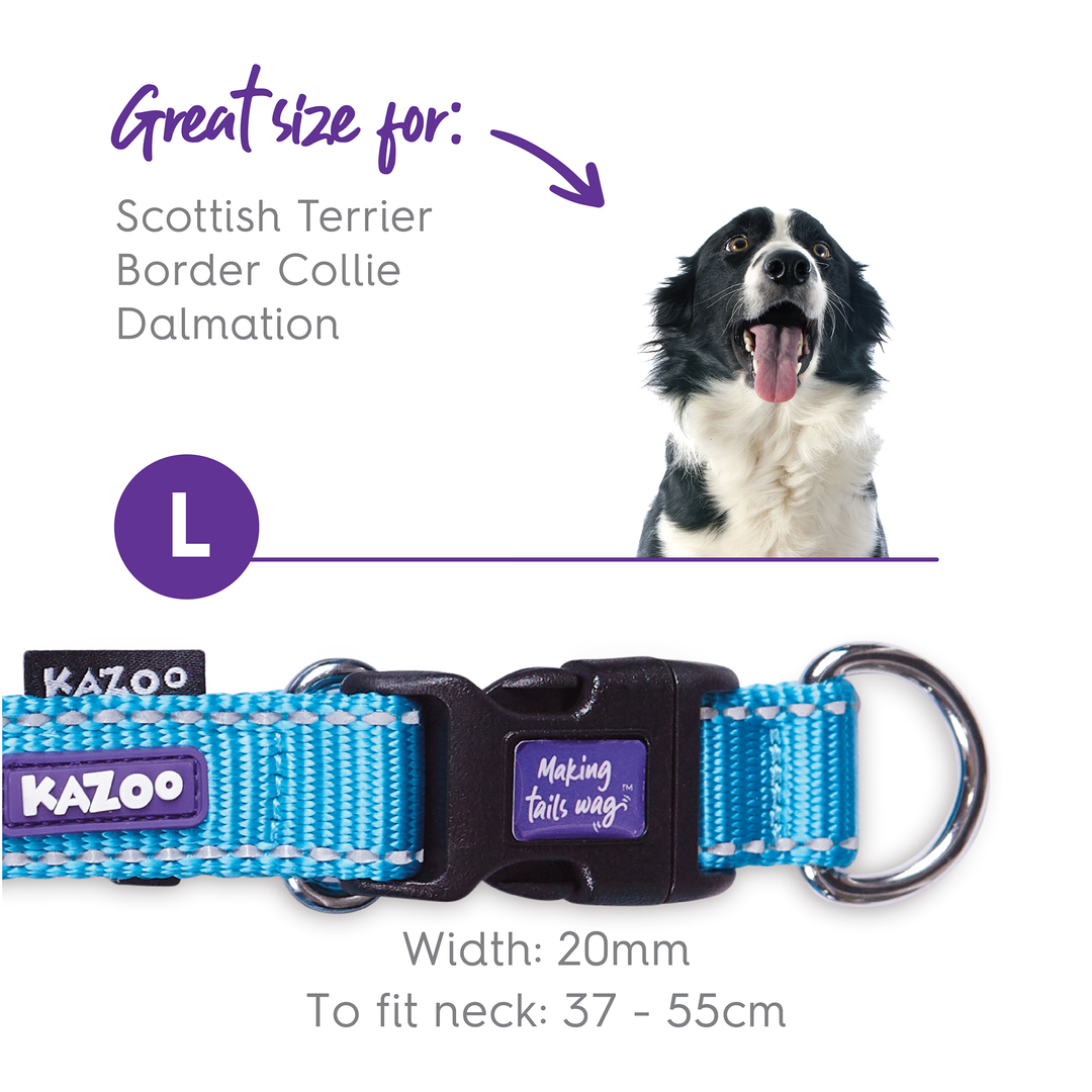 Classic Easy-Clip Dog Collar - Aqua