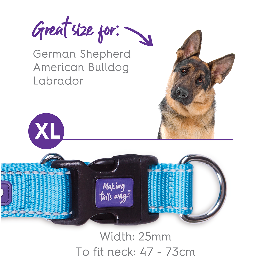 Classic Easy-Clip Dog Collar - Aqua