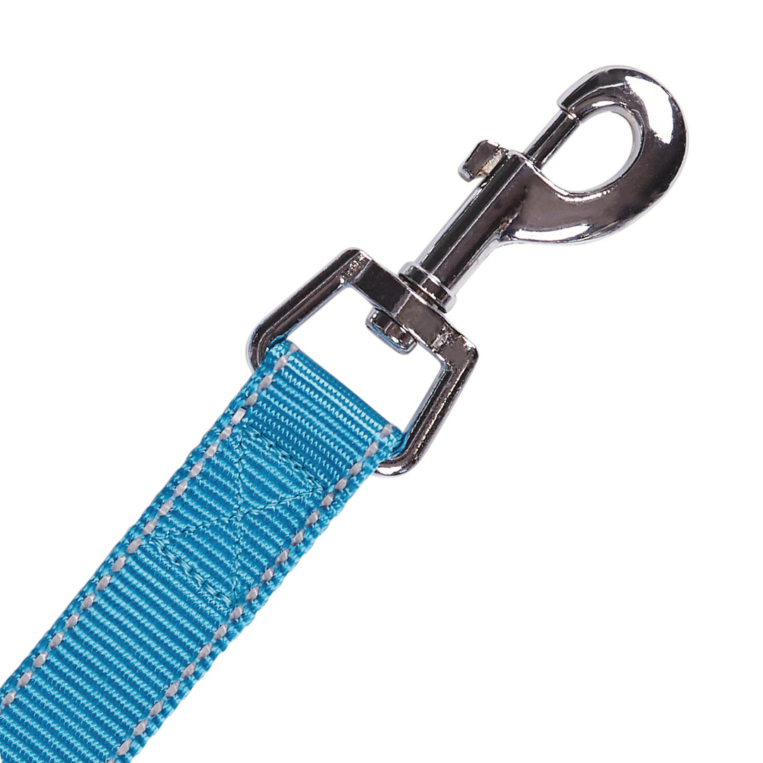 Classic Dog Lead - Aqua