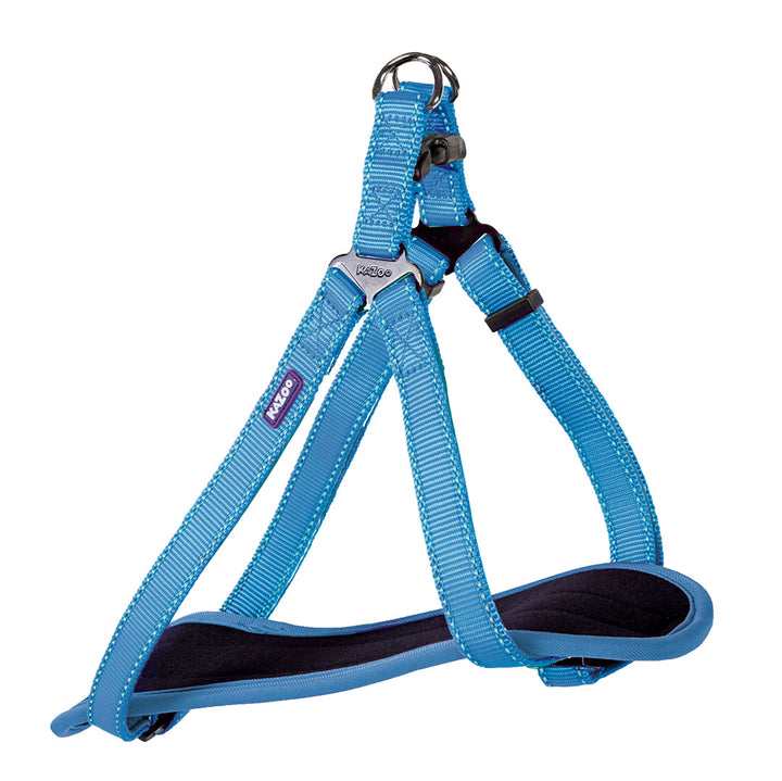 Classic Walking Dog Harness - Aqua