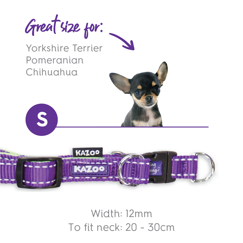 Active Easy-clip Dog Collar - Purple & Lime