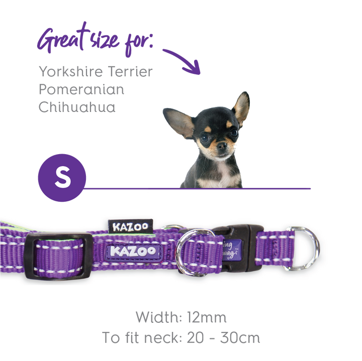 Active Easy-clip Dog Collar - Purple & Lime