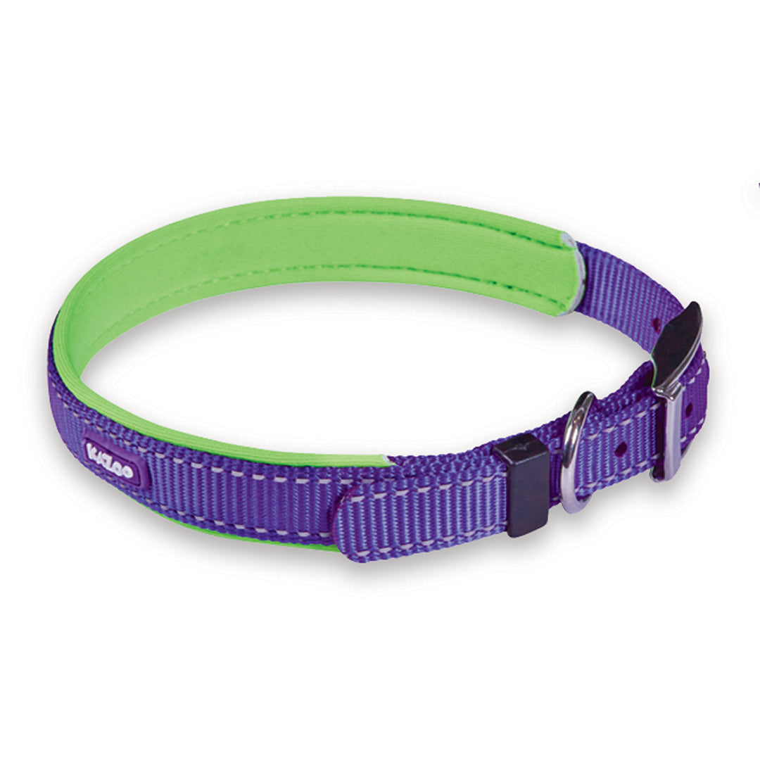 Active Dog Collar - Purple & Lime