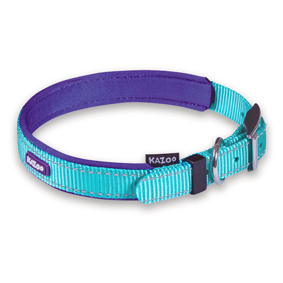 Active Dog Collar - Aqua & Purple