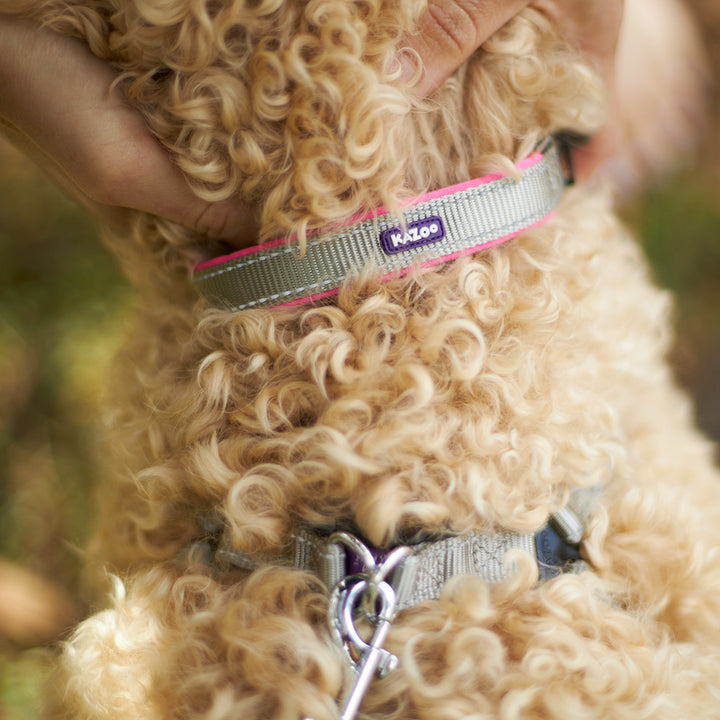 Active Dog Lead - Silver & Pink